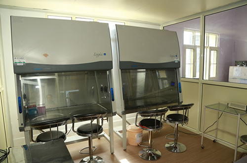 image11