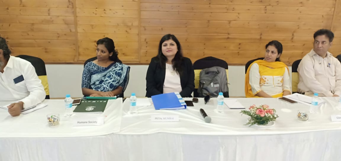 Meeting Of Experts
