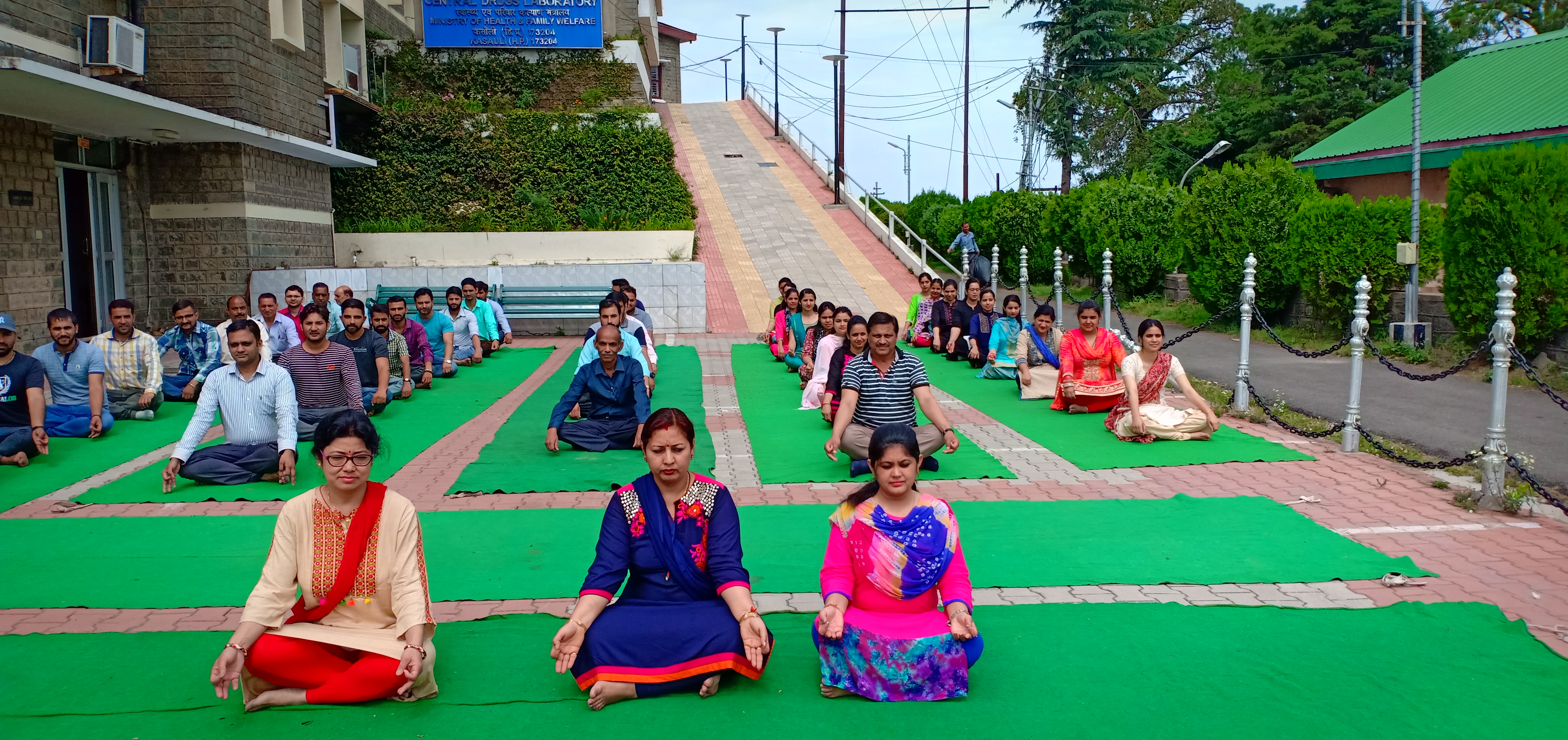 Yoga Day
