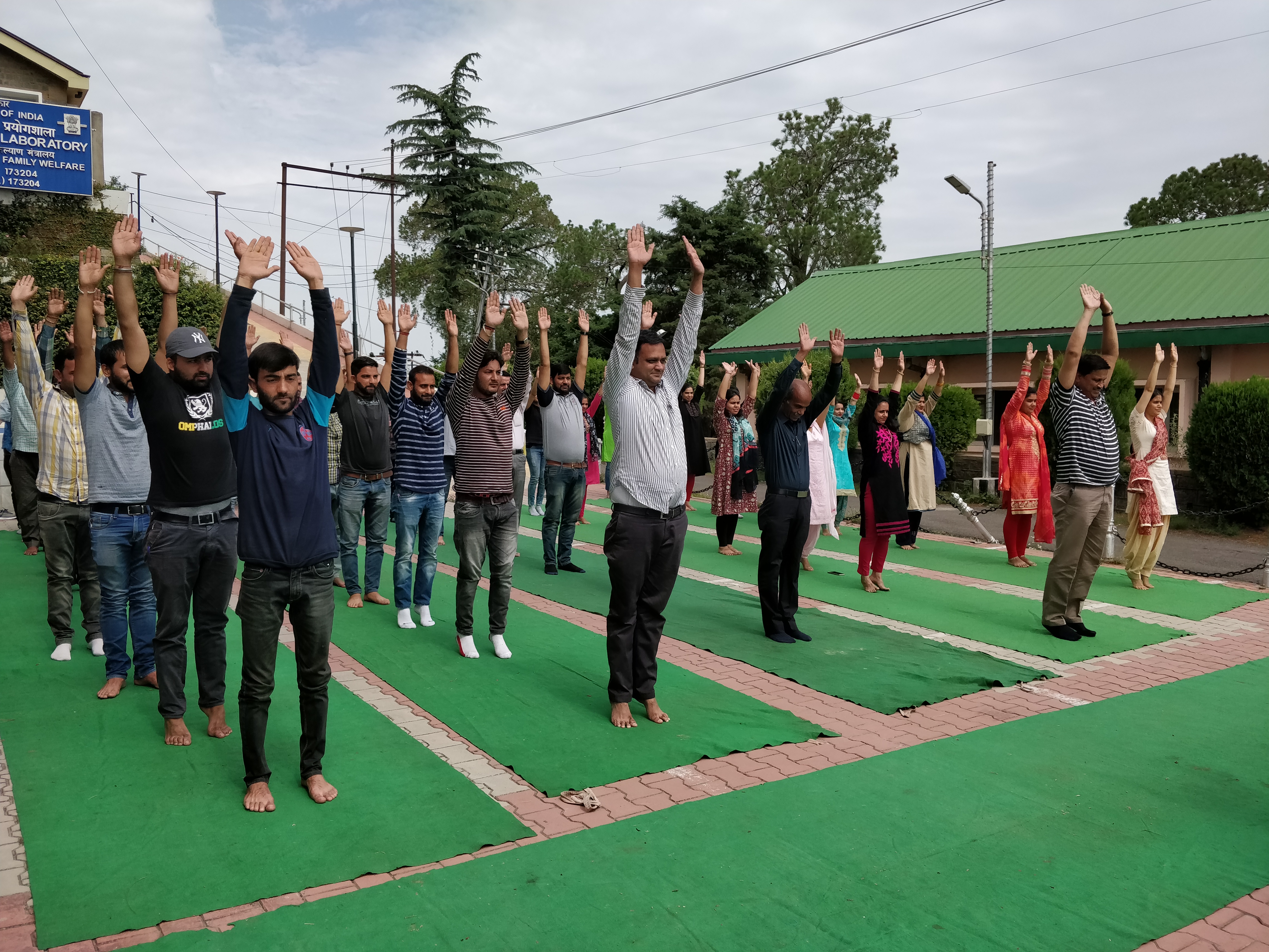 Yoga Day