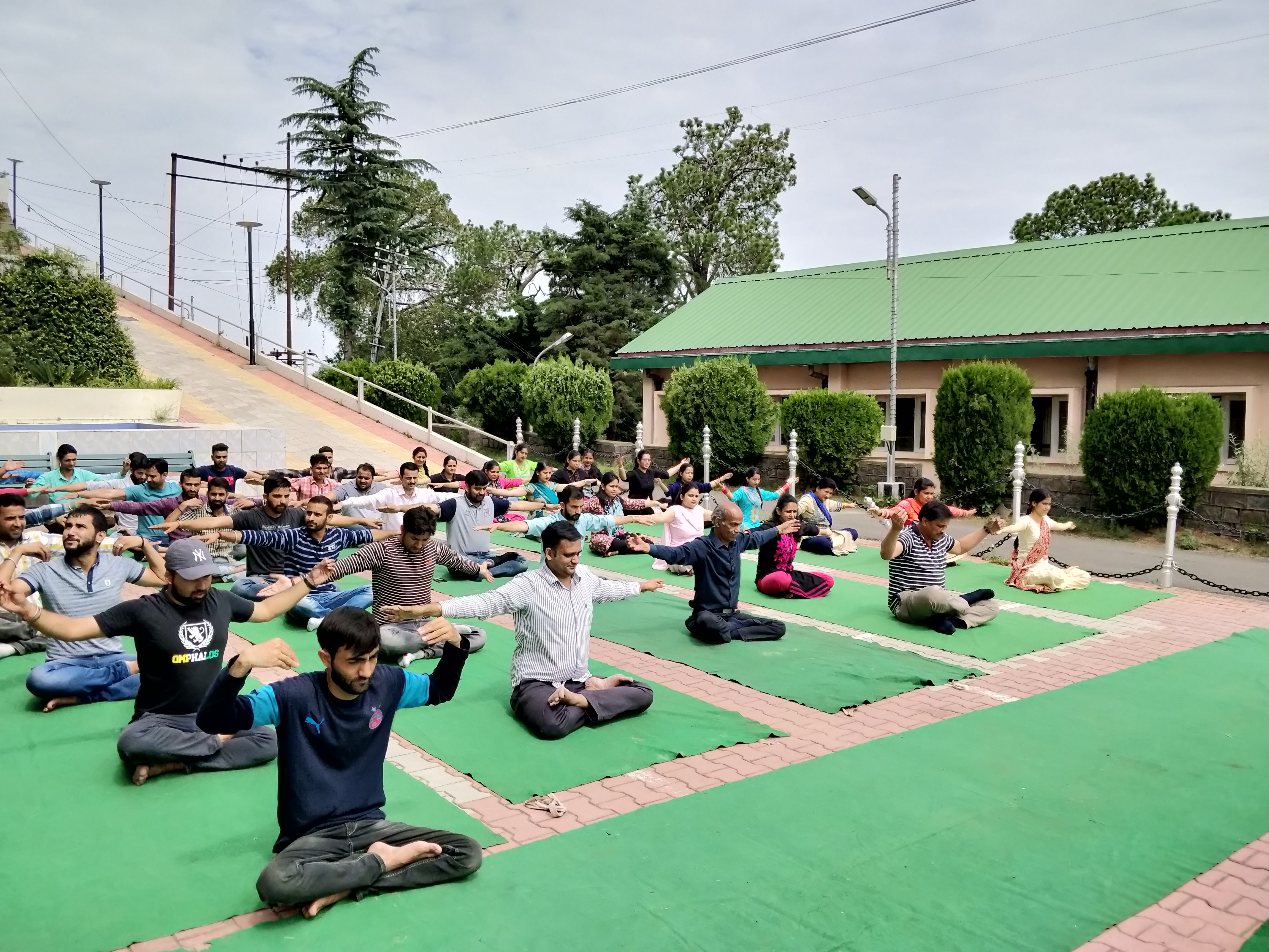 Yoga Day