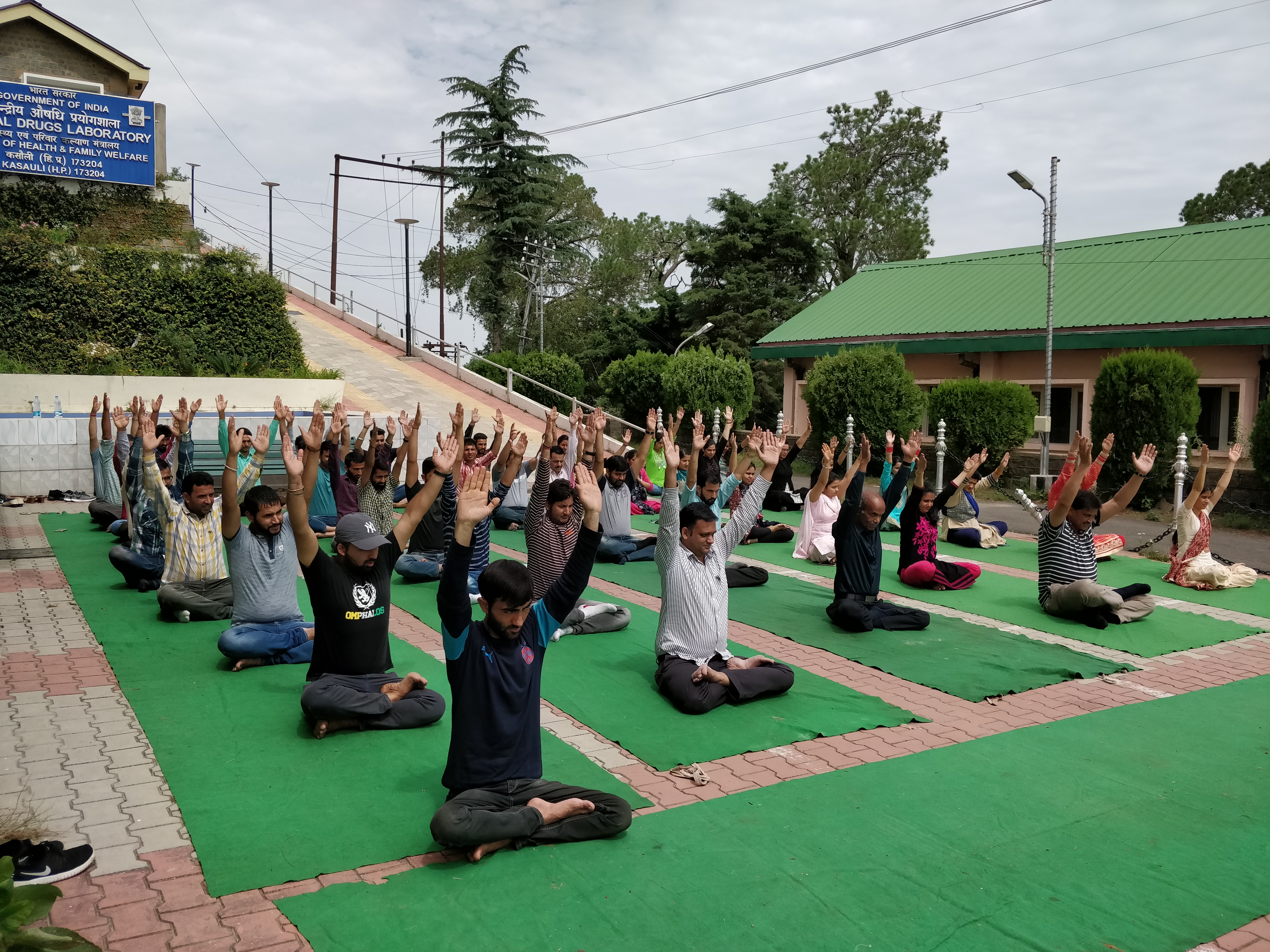 Yoga Day